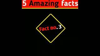 5 Amazing Facts  Fact Hub Shorts#