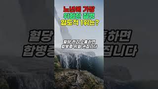 노년에 가장 위험한 질병, 압도적 1위는?