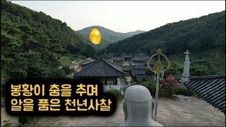 봉황이 알을 품은 천년사찰 #절 #사찰