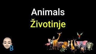 Learn Serbian  Complete Course Lesson 16 - Animals  Croatian CC