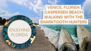 Sharktooth hunters at Caspersen Beach, Venice Florida