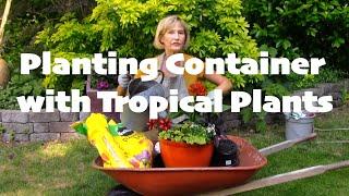 Planting Container with Tropical Plants