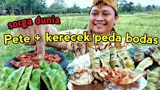 MUKBANG LALAP PETE + KERECEK PEDA bodas + sambel terasi || mukbang makanan khas sunda