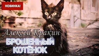 Алексей Кракин | Брошенный котенок