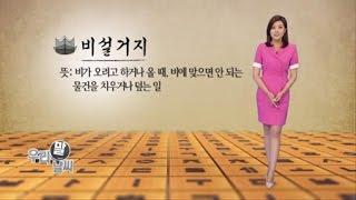 비설거지 [06/21] / YTN 웨더앤라이프