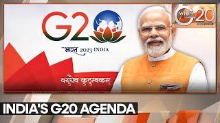 G20 Summit 2023: How India forged consensus on declaration | Latest News | WION