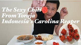 INDONESIA’S CAROLINA REAPER