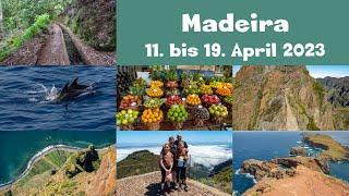 Madeira 2023 - Familienurlaub mit Wandern und Sightseeing