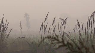 Pakistani authorities take measures to fight air pollution as smog engulfs Lahore