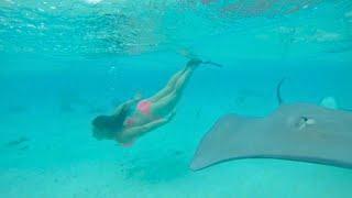 Swimming Underwater with Sea Buddies | Aqua Woman