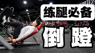 练腿动作教学｜LEG PRESS 倒蹬机的使用方法 (新手必看)