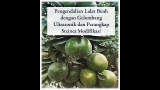 Pengabdian Masyarakat USU-Pengendalian Hama Lalat Buah di Desa Narigunung 1