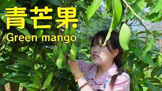 Too hot? Join A Xia to pick green mangoes and make a tangy snack to beat the summer heat!