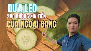 Phản biện Mr Dưa Leo: Mỹ sướng hay Việt Nam sướng? Mr đang sống ở đâu?