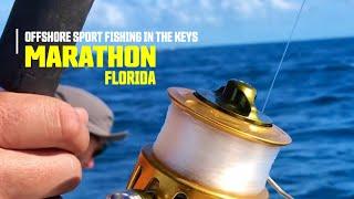 Offshore SPORT FISHING in the Florida Keys - Marathon Florida