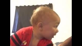 Baby Chase First Words