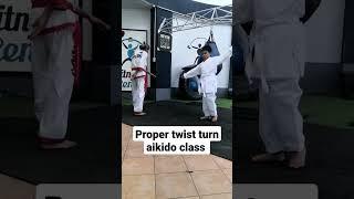 twist turn aikido session