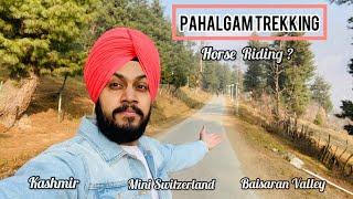 Pahalgam Trekking experience | Mini Switzerland | Baisaran Valley | Kashmir