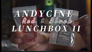 Upgrad the SSD for Atomos Ninja V/V+ | Andycine Lunchbox II Unlock New World of Filmmaking