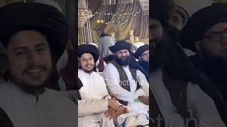 سلامتی️ | Mufti hafiz Anas Hussain Rizvi | Ghulam Abbas Faizi | Latest | Status Shorts TLP
