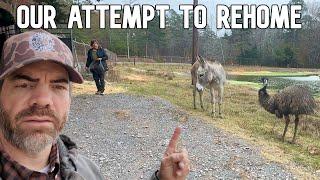 Unexpected Donkey & Emu Rescue Mission Did NOT End as Expected!