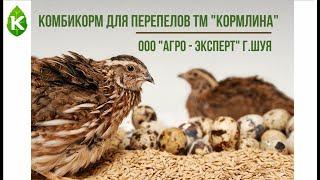 Видеообзор комбикормов для перепелов