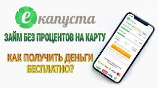 Екапуста займ без процентов на карту: как получить деньги бесплатно?