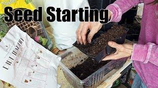 Seed Starting with Spiked Soil and Jiffy