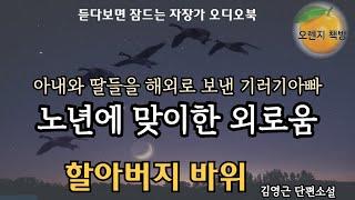 어쩔수없는 사정으로 가족을 해외로 보낸후 맞이하는 노년.. 그 외로움 / 김영근 / 할아버지 바위