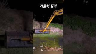 어두운밤 수로의 가물치 킬러
