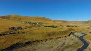 From the Tibetan grasslands...new film coming soon!