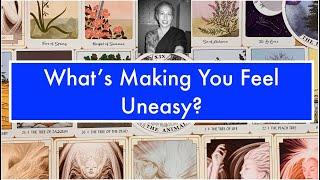 What is making you feel uneasy? Truly Divine Tarot Gives Advice  Tarot Reading with Divine Guidance