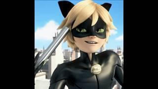 cat noir edit- les