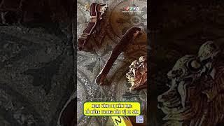 Ngai vàng bị xâm hại - Lỗ hổng trong bảo vệ di sản