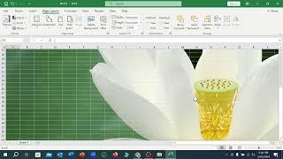 How to Insert Picture Behind Text in Excel | MS Excel