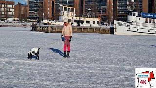 WALKING in Jyväskylä, FINLAND, Winter 2023(Jyväsjärvi, FROZEN LAKE)