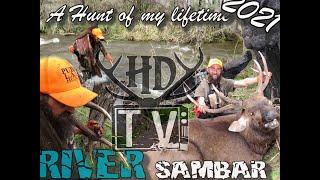 The Wide River Sambar Stag Hunt STONKER