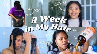 Hair breakage, hair lessons, wash day, twist take down, new products, & more! #14