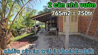 Tây Ninh: Đất lớn nở hậu khủng 765m2 sẵn 2 căn nhà vườn cây ăn trái đường ôtô 750tr gần trường cấp 3