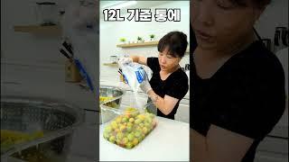 매실청 한번도 담궈 보지 않은 분은 반드시 보세요. 간편하고 쉽게 매실청 담그는 방법