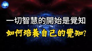 獲得了覺知的人有多厲害你知道嗎？可我們如何培養覺知力？又如何在日常生活中保持覺知？ 【笑談開悟戲說覺醒】#能量#宇宙