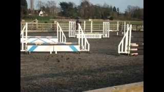 Clients Showjumping at Snowball Farm- Vicky on Molly K