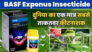 BASF Exponus Insecticide | बी ए एस एफ नया कीटनाशक लॉन्च | Broflanilide 300g/L SC insecticide