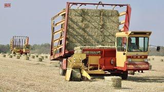 HARVESTING HAY  BALES