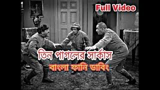 3 Stooges Bangla Dubbing Original 1080p তিন পাগলের সার্কাস