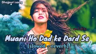 Muani Ho Dad ke Dard Se||slowed & reverb|| #arvind Akela Kallu||#shilpi Raj" Bhojpuri Lofi #madhu