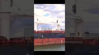 Ship Voge Mia ( Bulk Carrier )