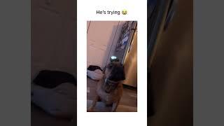 Hold The Fucking Light Straight!!!