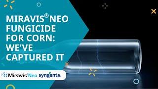 Miravis® Neo fungicide for corn: We've captured it