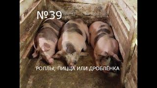 №39 | Чем кормить поросят | Цены 2024.